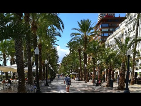 Amazing streets concert show in Alicante El Palmeral Mericent Channel #alicante #spain #travel #fyp
