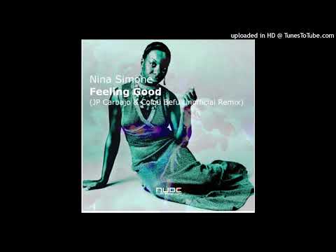 Nina Simone - Feeling Good (JP Carbajo & Colou Befu Unofficial Remix)