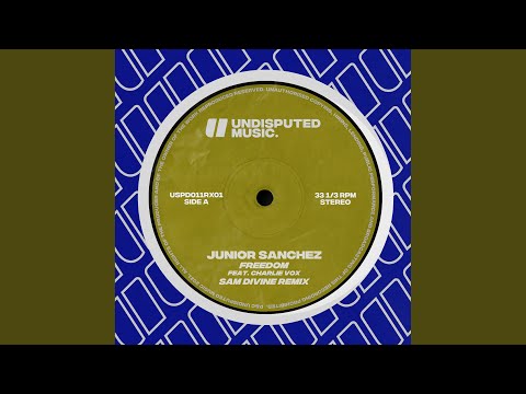 Freedom (feat. Charlie Vox) (Sam Divine Remix)