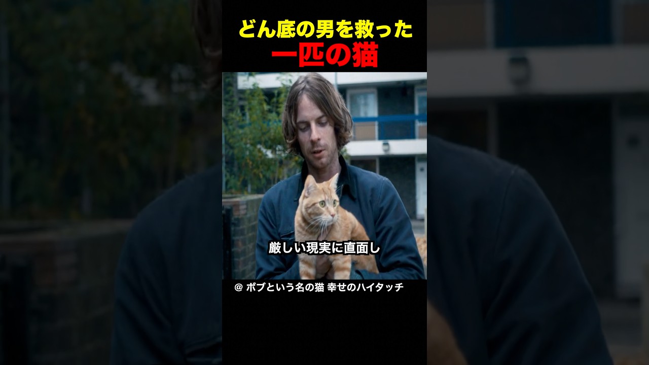 どん底の男を救った一匹の猫