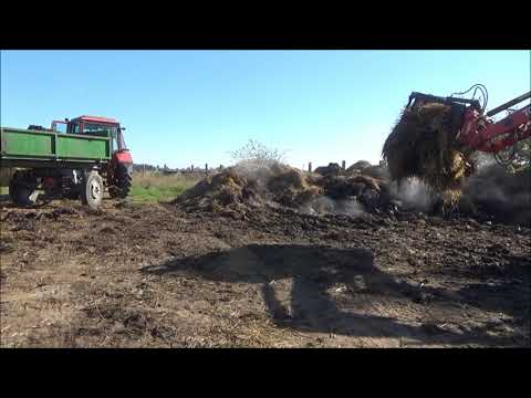 Załadunek i transport obornika 2X MTZ  z 5 perspektyw