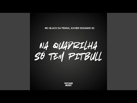 Na Quadrilha Só Tem Pitbull