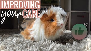 4 Ways to Revamp Your Guinea pigs Care