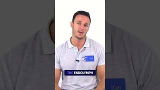 The Dix-Hallpike Maneuver for Posterior Canal BPPV