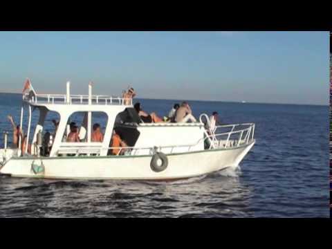 36.Египет - Shana Vanguarde_Gimme