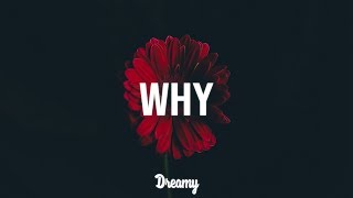 Skinny Living - Why (Lyrics)