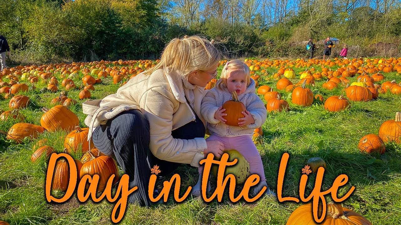 A Cosy Autumn Vlog | Pumpkin Picking | Home Bargains | MOO