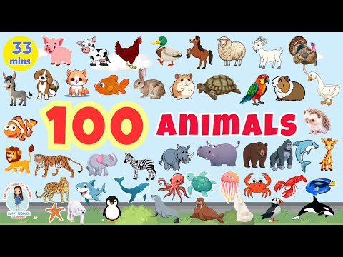 100 ANIMALS for Kids | First 100 Animals Name for Toddlers |100 Words for Babies |English Vocabulary
