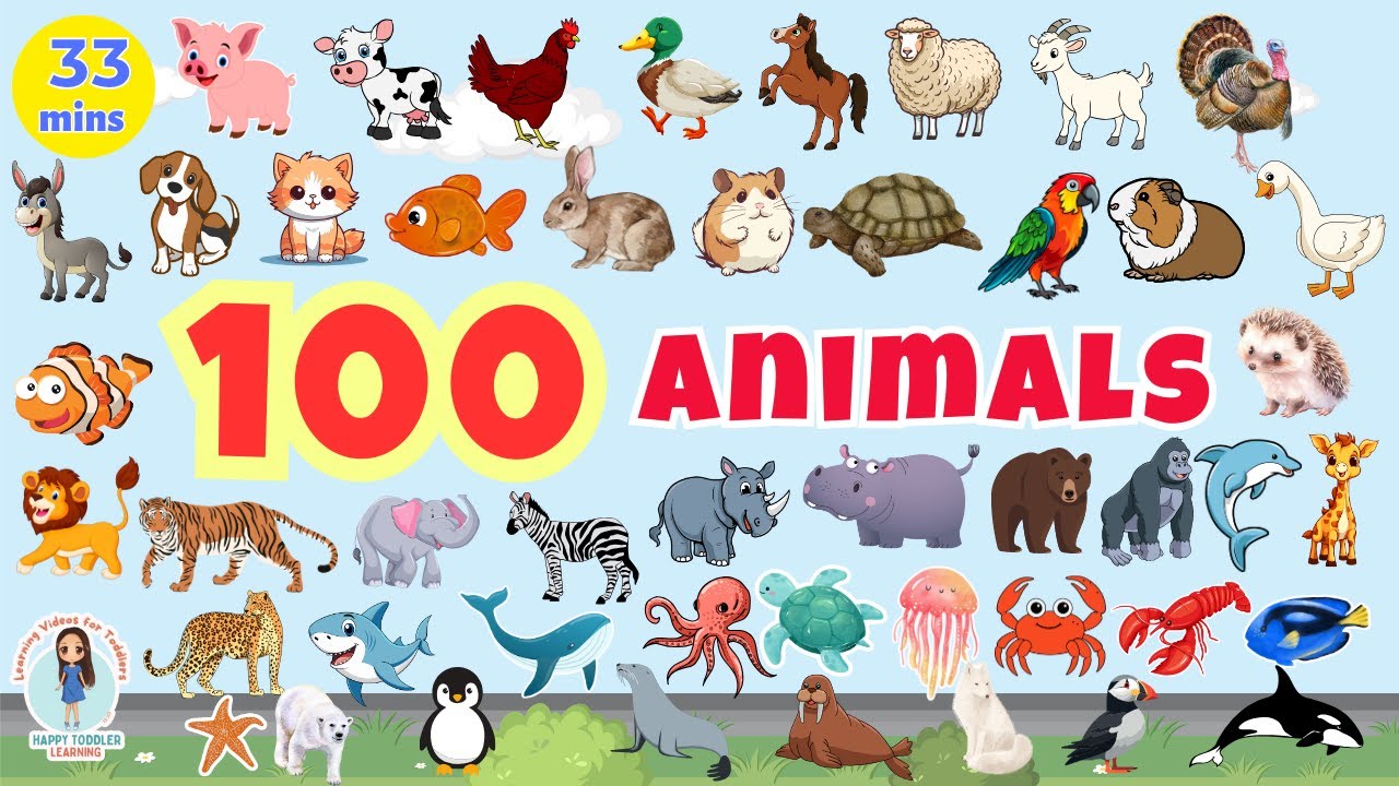 100 ANIMALS for Kids | First 100 Animals Name for Toddlers |100 Words for Babies |English Vocabulary