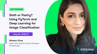 Sloth or Pastry? Using PyTorch and Deep Learning for Image Classification