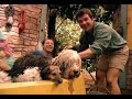 Zoboomafoo Cap 29 Hora Del Baño