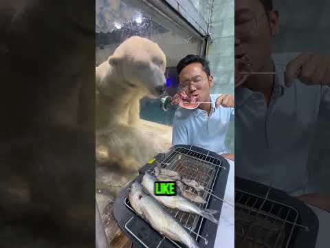 Why This Man Ate in Front of a Polar Bear 🐻‍❄️