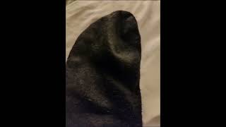 Sweaty black socks 🤢