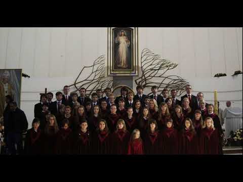Henryk Jan Botor (ur. 1960 ) -  Misericordias Domini