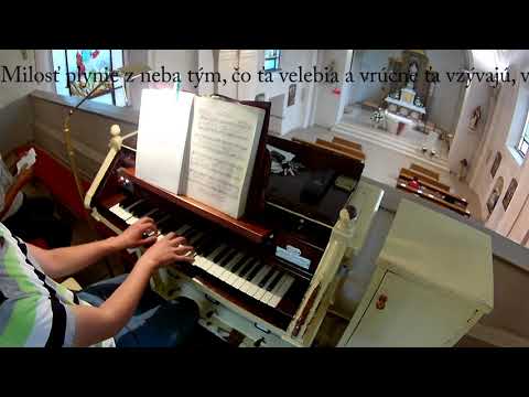 JKS 334 - Horí naša láska (ein Marienlied)