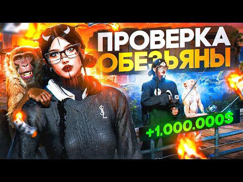 НЕ ЗАВОДИ ОБЕЗЬЯНУ В ГТА 5 РП, ПОКА НЕ ПОСМОТРИШЬ ЭТО ВИДЕО│ПРОВЕРКА ОБЕЗЬЯНЫ В РЫБАЛКЕ НА ГТА 5 РП