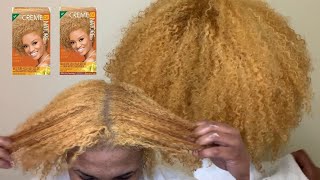 Impulsively Dying My NATURAL hair BLONDE | No Bleach | No Breakage | Cream Of Nature Lightest Blonde