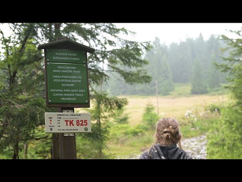 Do Krkonoš s respektem (03) – Borůvky