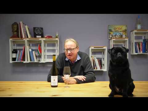 Gerd Rindchen probiert den Riesling Steinberg vom Weingut Schneider