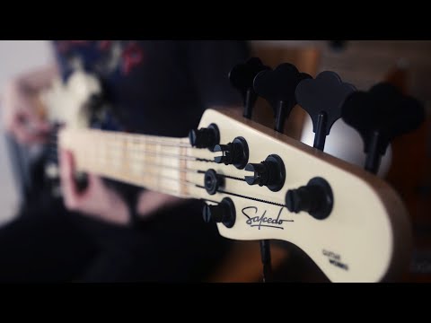 Salcedo Guitarworks JB5 (con Diliberto pickups)