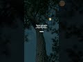 Anbare Song Lyrics Whatsapp Status Tamil Tamillyricsstatus Tamilsongs Tamillyrics Bgm Tamil