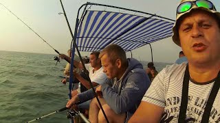 Рыбалка в украина отдых на море с бассейном