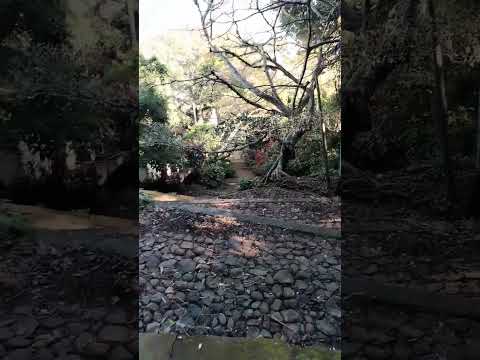 Cerro de las Pavas, Distrito de Cojutepeque, Departamento de Cuscatlán #ElSalvador #cultura