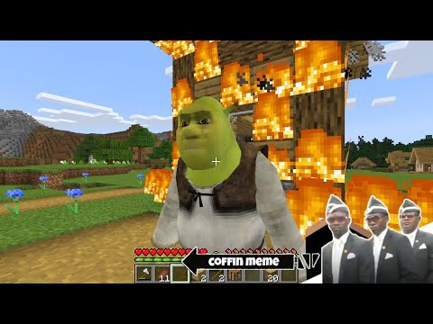 The Real Shrek I found in Minecraft Part 2 - Coffin Meme