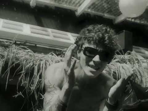 SHMOKEY LUNGS - SEQUOIA