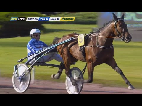 Timo Nurmos Calgary Games & Jorma Kontio vinner Svenskt Travderby  2021 (2 000 000 kr) på Jägersro.