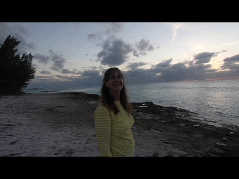 Sherry's Beach Bar and a Shipwreck