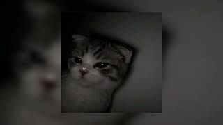 Download lagu calling my phone - (speed up) mp3