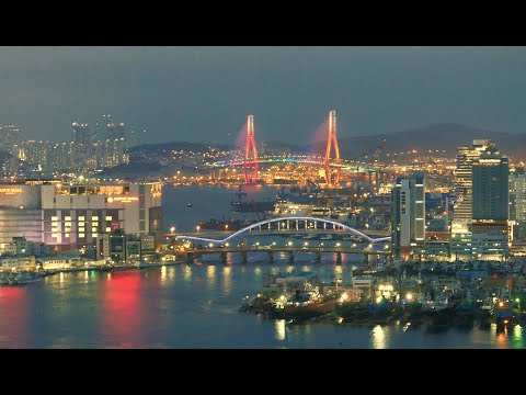 [4K] Walking tour around Busan Common Fish Market.Busan South Korea | 부산공동어시장.20.05.21