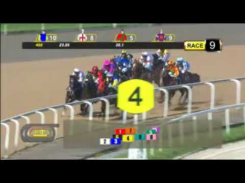 2018 Kranji Stakes B - Al Green (1000m)