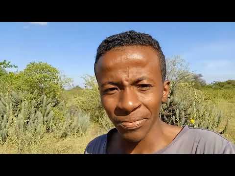 GILMAR MOSTRA COMO É A NATUREZA DO SERTÃO DO NORDESTE 
