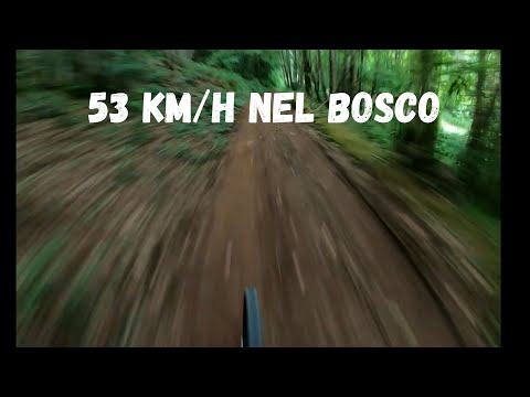 SFRECCIARE A 53 km/h NEL BOSCO.