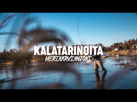 Kalatarinoita - Merikarvianjoki