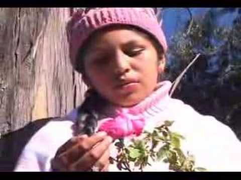 Quiereme Hoy - Jessly Velasquez