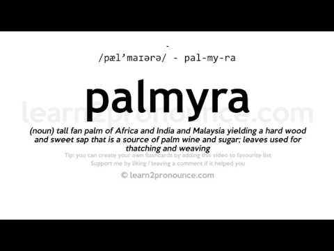 Pronunciation of Palmyra | Definition of Palmyra