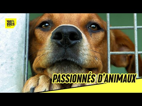 Passionnés d'animaux