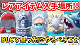 【ぽこあポケモン】DLCでまず真っ先にやるべきこと！&レアアイテムの入手場所！【Switch2】ぽこ あ ポケモン Part27