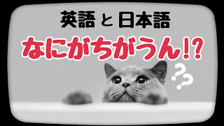 【前編】結局日本語と英語って何が違うん！？