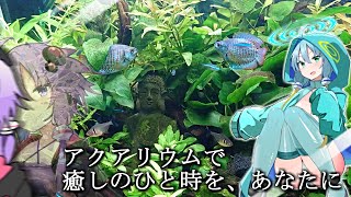 【アクアリウム】ゆかりうむ。
