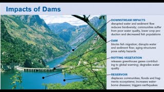 Environmental Concerns and Big Dams
