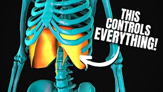 It Took Me 10 Years To Find The Secret To Better Posture