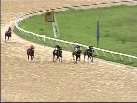 1ra carrera Viernes 1 Noviembre 2013 HINAVA