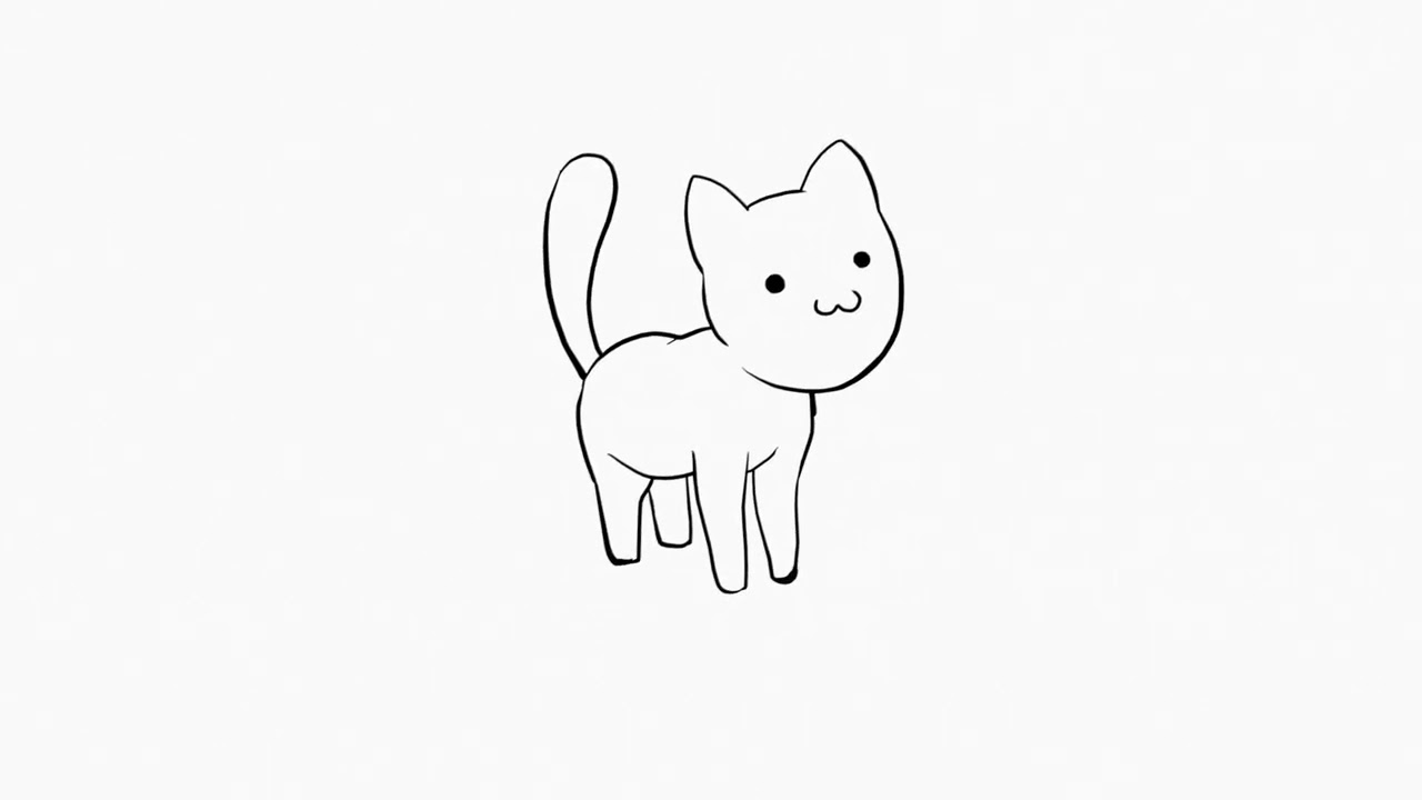 Cat cheese