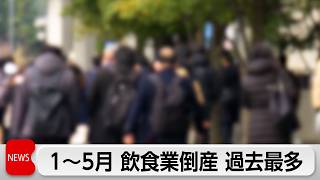 倒産した飲食業の件数 1～5月で過去最多 価格転嫁による客離れや客単価の下落などが原因
