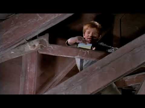 Pistruiatul Episodul 8 Informatorul (1973)