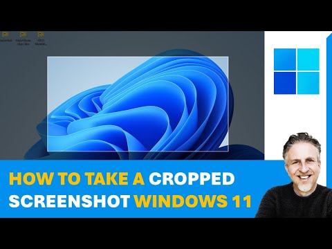 My Mouse Cursor Pointer Disappeared in Windows 10 or 11 Shortcut Keys to Reinstate Mouse